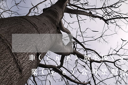 車(chē)放小區(qū)被他人損害，物業(yè)公司是否該擔(dān)責(zé)？